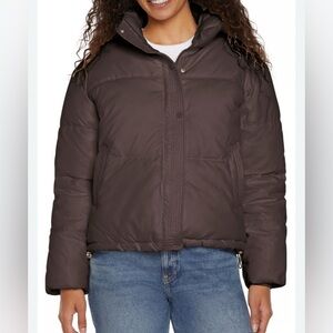 Express Dark Brown Puffer Jacket